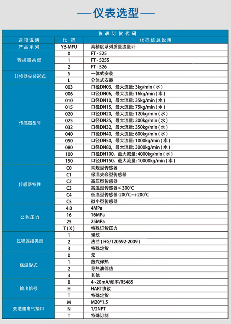 實(shí)驗室質(zhì)量流量計選項表