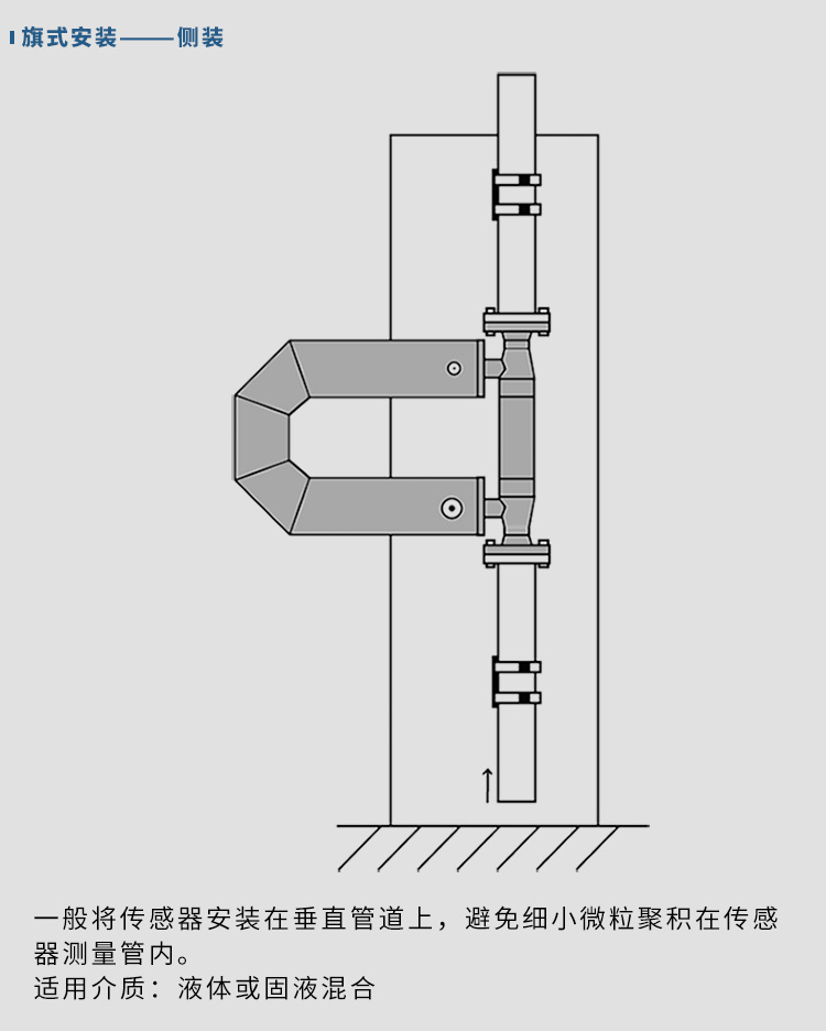 衛生型質(zhì)量流量計垂直安裝示意圖