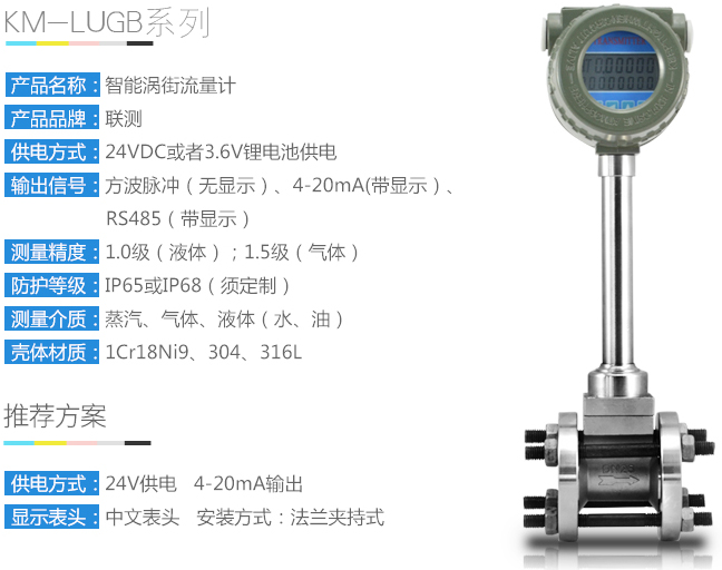 氯化氫流量計技術(shù)參數圖