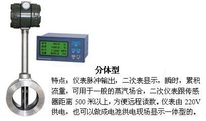 高溫渦街流量計分體型產(chǎn)品圖